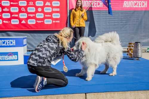 MEZZA MARATONA DI PRAGA | 21K 2019